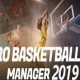 Pro Basketball Manager 2019 Logo
